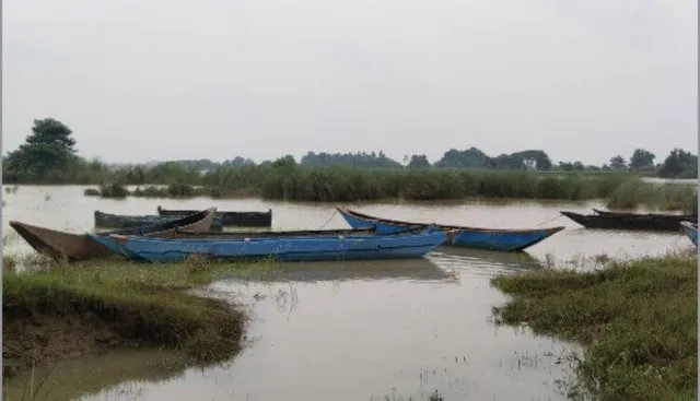 Decline in Hilsa fish population in Mahanadi River in Odisha due to water pollution