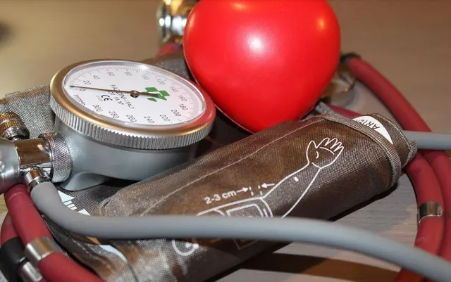 World Hypertension Day 2022: How high blood pressure affects your health