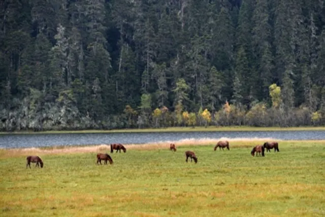 Over 160 nations agree to regulate trade in 500 new wild species
