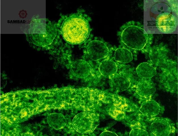 Antimicrobial resistance from pollution poses major threat to public health