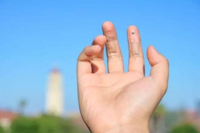 New soft 'e-skin' mimics human sense of touch, talks to brain