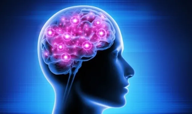 Decoded: How toxic proteins accumulate in Alzheimer's, Parkinson's?