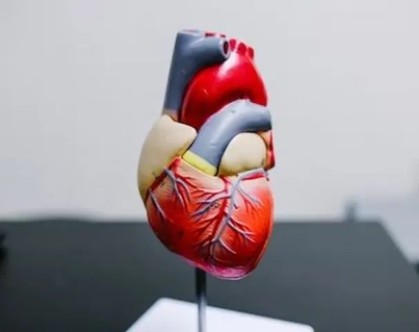 New gene therapy can cut 'bad' cholesterol by 50% with a single dose