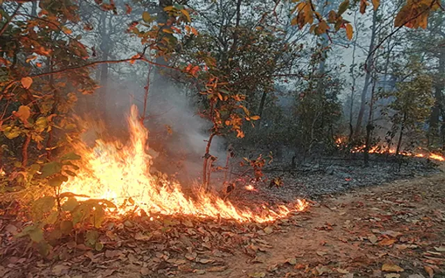 Surge in wildfire incidents across Odisha; 389 fire points detected in last 7 days