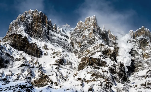 Avalanches primarily cause higher mortality of ungulate mammals in snowy mountains: Study