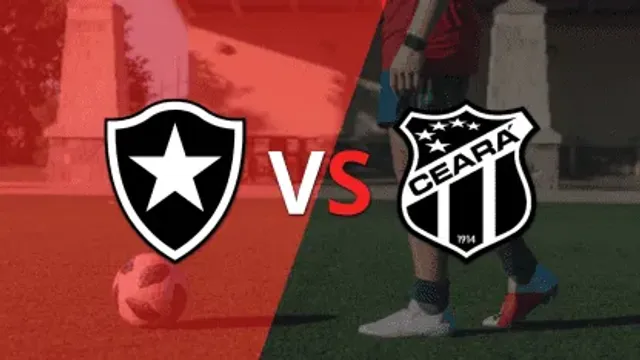 Botafogo vs. Ceara: Brazil Serie A Match Preview, Odds & Prediction