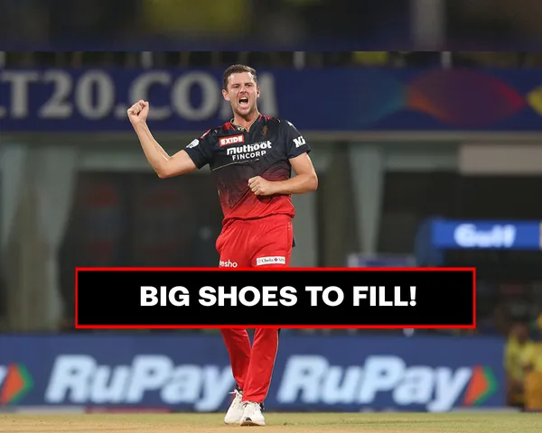 RCB released Josh Hazlewood (File Photo: Twitter) 