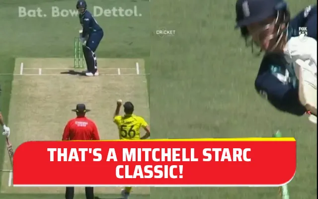 Mitchell Starc