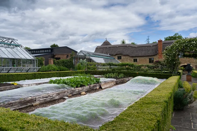 CocochineXRowlerEstate