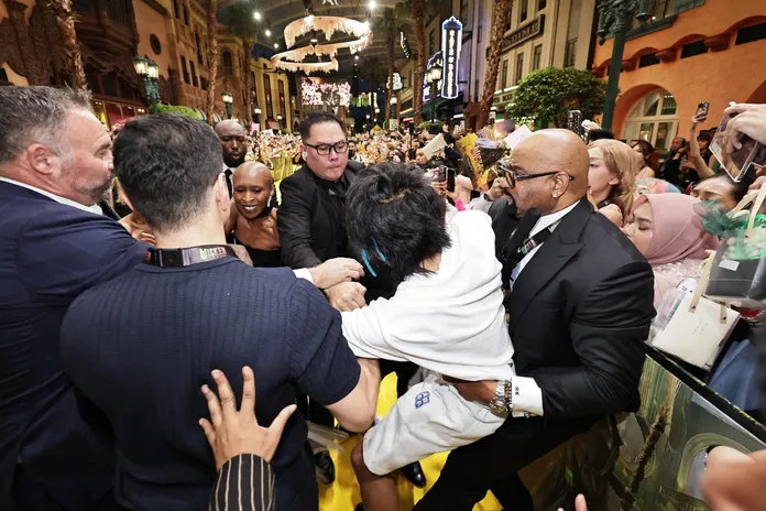 Man Who Rushed Ariana Grande on ‘Wicked’ Red Carpet Is Put in Jail