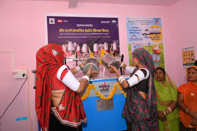 WhatsApp Image 2025-12-05 at 16.30.42