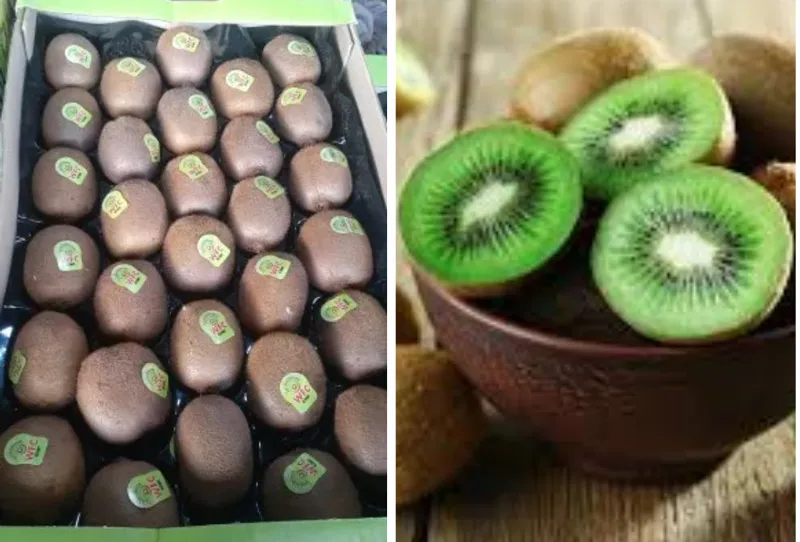 kiwi imports
