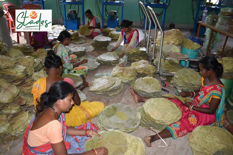 initial stitching of sal leaves