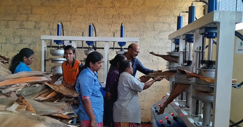 production of areca plates