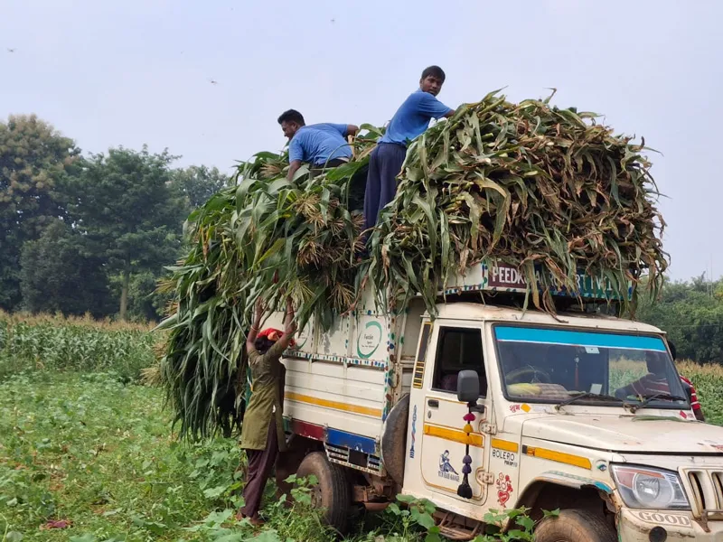 loading trucks