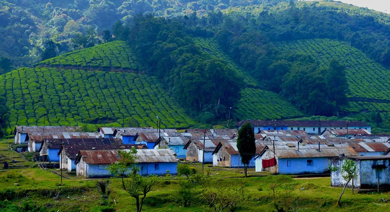 Homes of tea estate workers