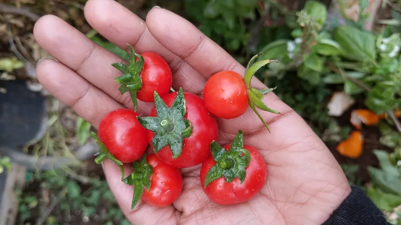 2 sustainable guest blog