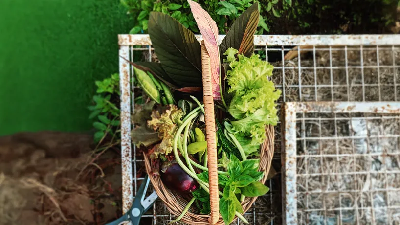 3 sustainable guest blog