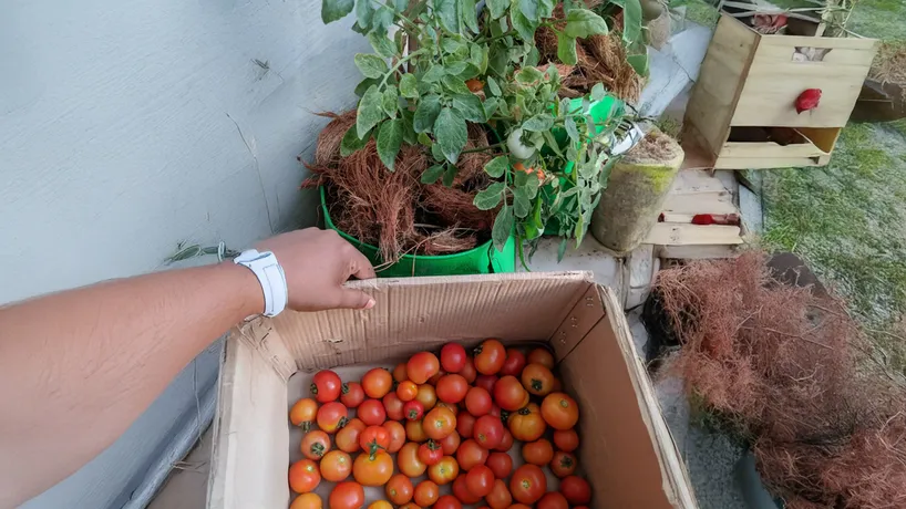 4 sustainable guest blog