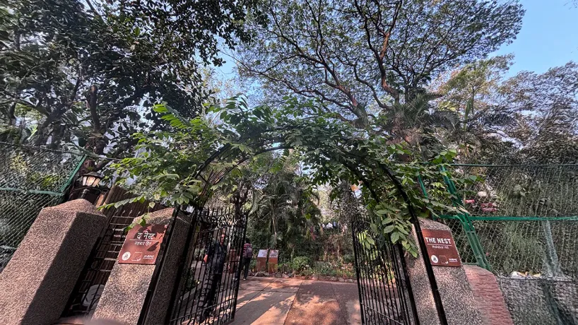 lTQMJSafcE76KsJp5wGT