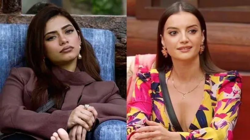 Bigg Boss 19 Eviction