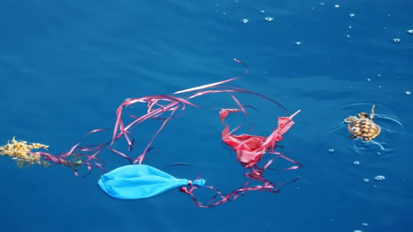 oceanlife, latex balloons biodegradable 