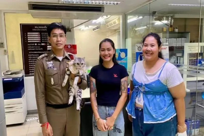 பொலிஸாரிடம் கைவரிசையை காட்டி கைதான பூனை- பிணையில் விடுதலையாம்.. நடந்தது என்ன? | Cat Arrested For Police In Thailand Released Bail