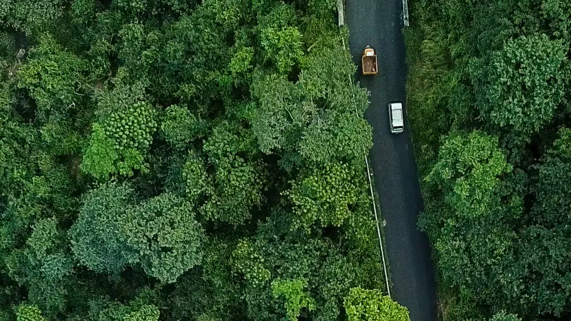 சிறுமலை | Tamil Nadu