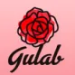 Icon of program: Gulab App : Films