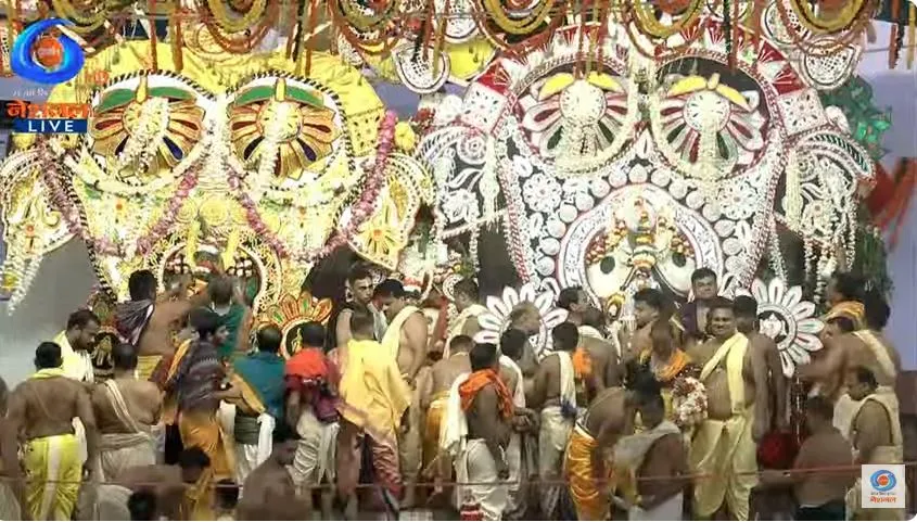 Halti besha