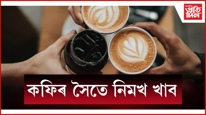 কফি web