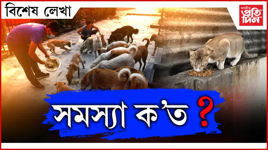 ap BIKHEKH LEKHA (11)