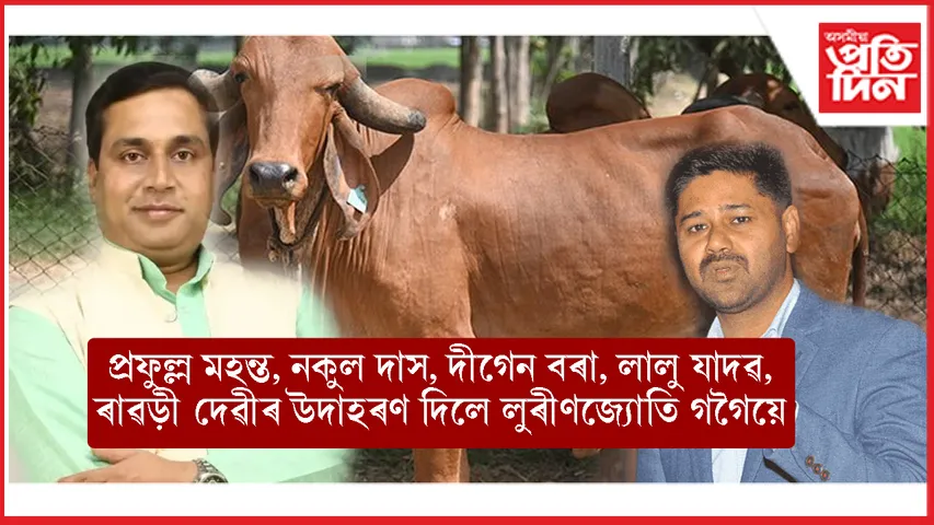 'গৰুক লৈ অনৈতিকতাৰ আশ্ৰয় লোৱা সকলোৰে অন্তিম পৰিণাম ভয়ানক হৈছে'- লুৰীণজ্যোতি গগৈ