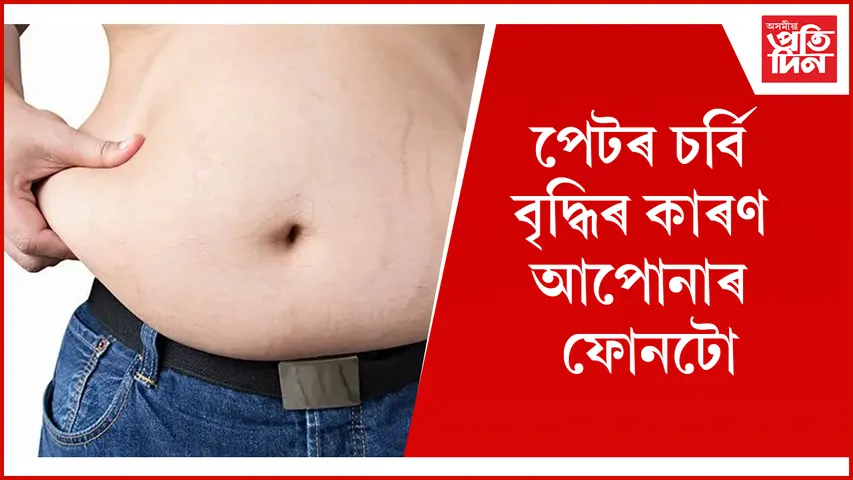 চৰ্বি  seo