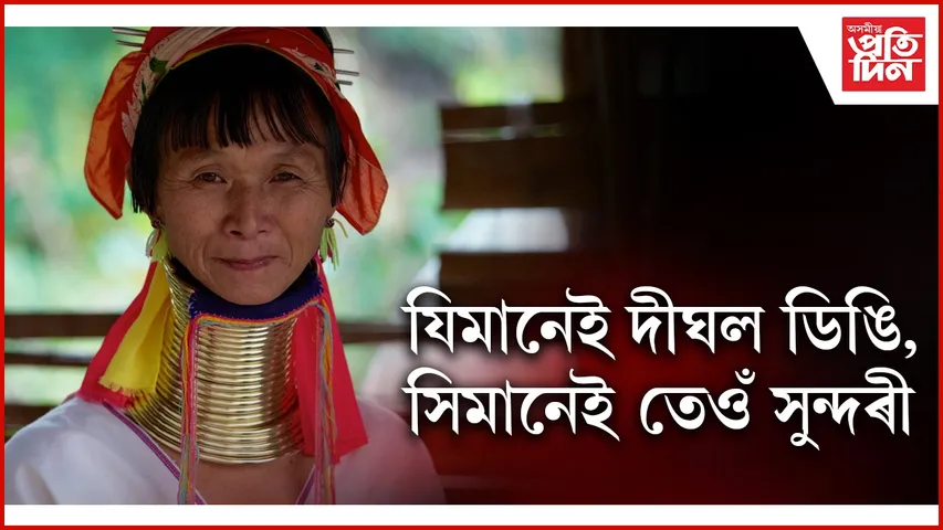 web ap sundaari