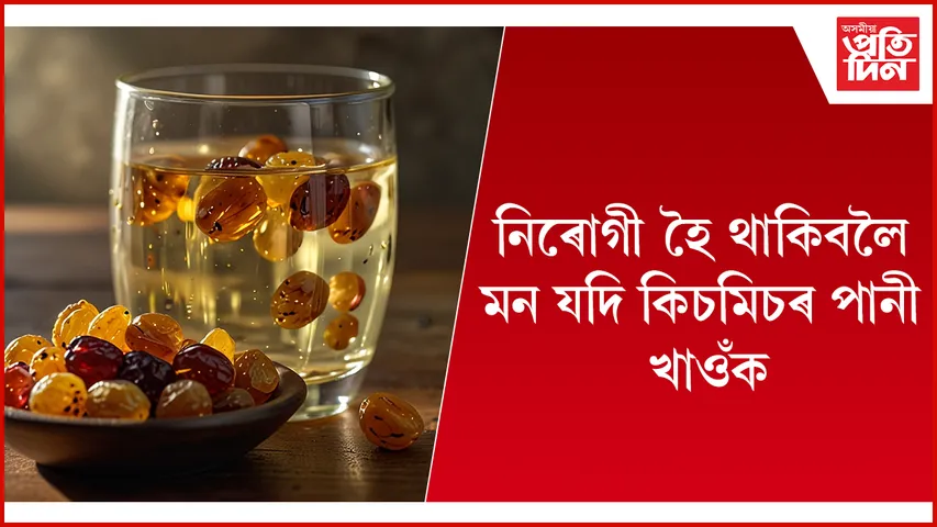 কিচমিচ web