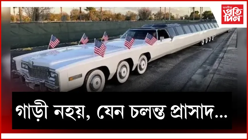 গাড়ী web