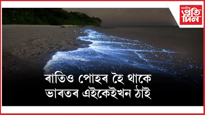 WhatsApp Image 2025-12-15 at 4.17.25 PM