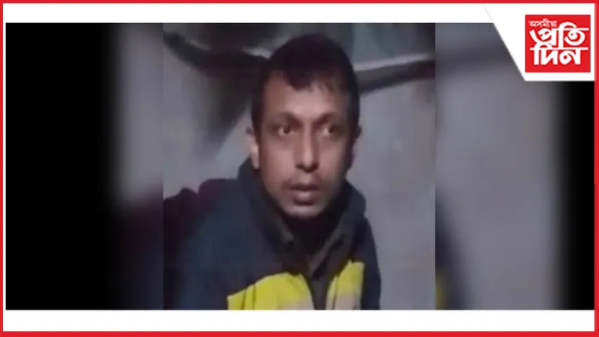 new ap web 11-11-24 new 2