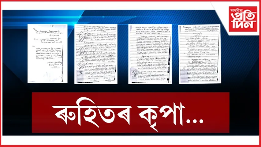 WhatsApp Image 2025-12-31 at 2.55.38 PM