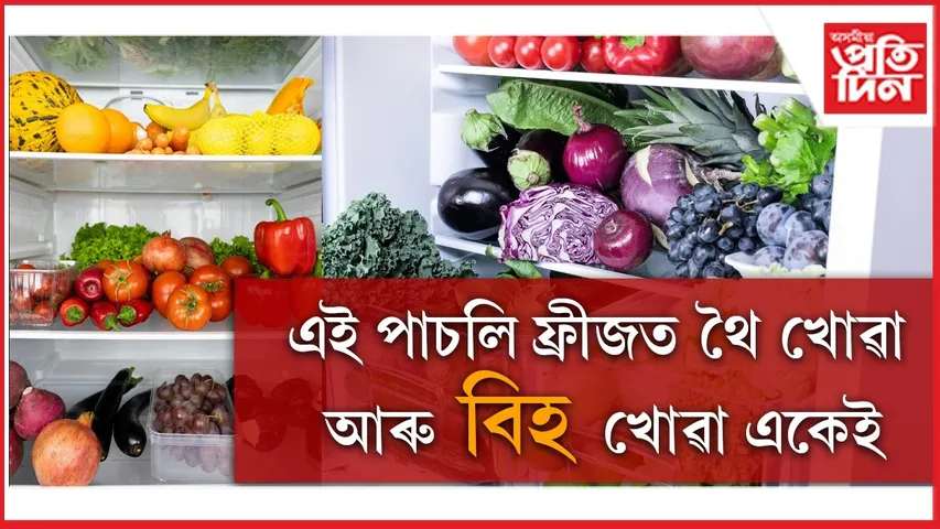 WhatsApp Image 2026-02-20 at 2.21.32 PM