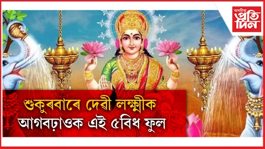 WhatsApp Image 2026-02-24 at 12.21.57 PM