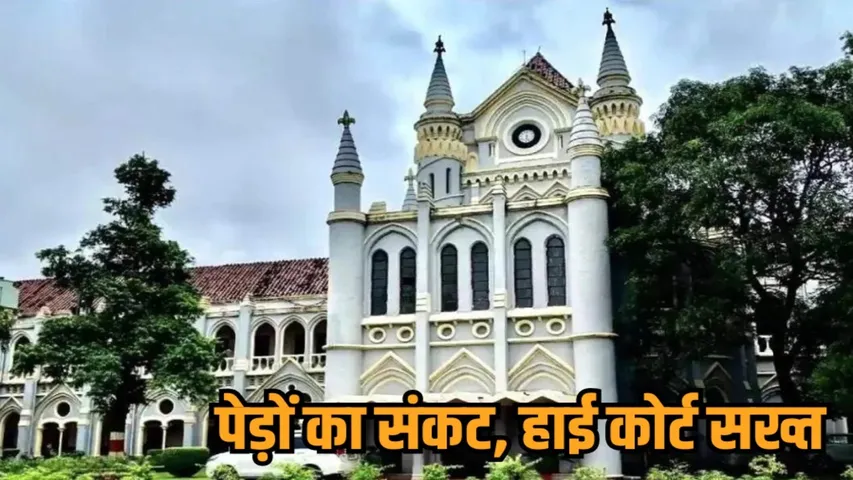 bhopal highcourt stay on tree cutting transplantation 2025 hindi news zvj