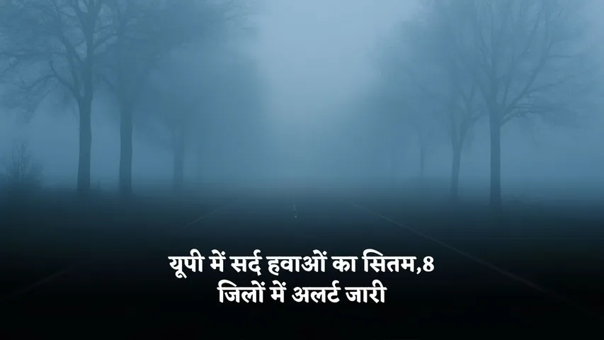 up weather cold wave alert