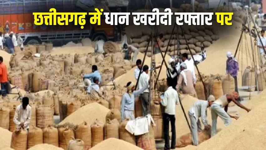 CG Dhan Kharidi News