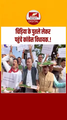 Instagram_post_thumb_ CHIDIYA MP VIDHANSABH