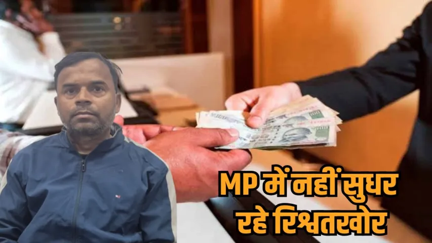 rewa patwari bribe arrest lokayukt action hindi news zvj