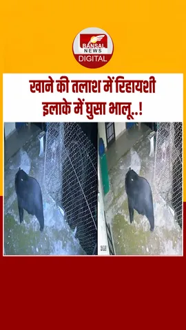 Instagram_post_thumb_ bhalu