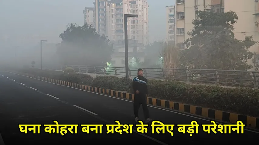 UP weather update 14 december low visibility dense fog lucknow gorakhpur hindi news zxc