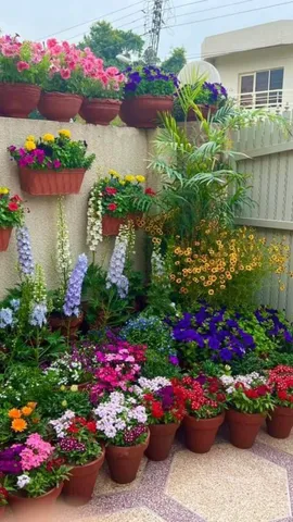 Winter plant care tips